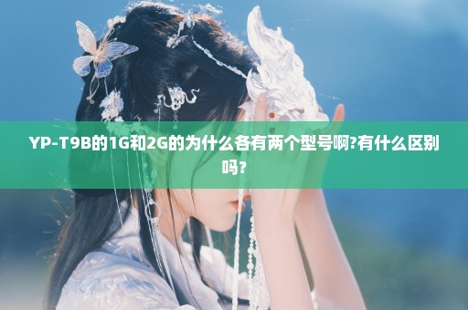 YP-T9B的1G和2G的为什么各有两个型号啊?有什么区别吗？