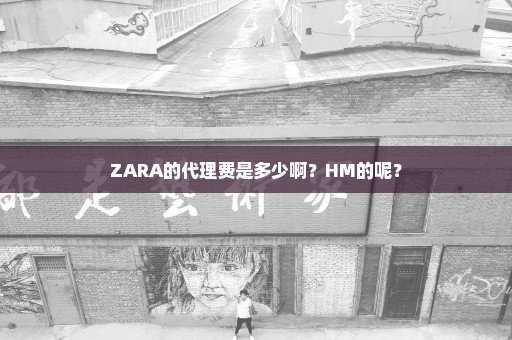 ZARA的代理费是多少啊？HM的呢？