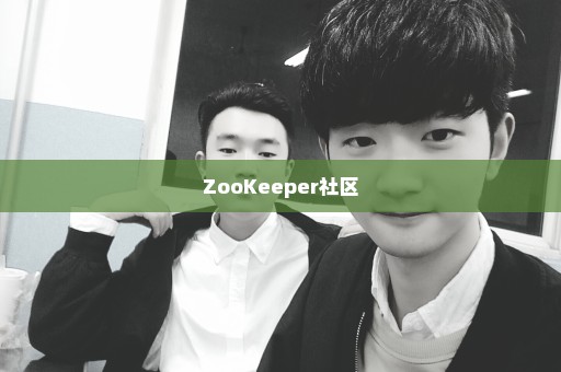 ZooKeeper社区