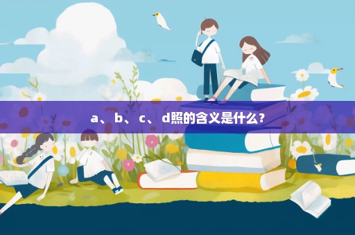 a、 b、 c、 d照的含义是什么？