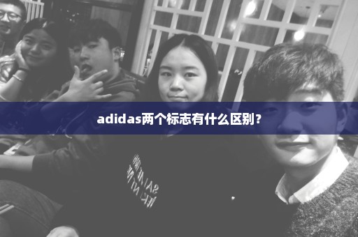 adidas两个标志有什么区别？