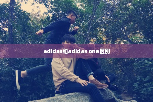 adidas和adidas one区别