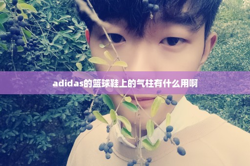 adidas的篮球鞋上的气柱有什么用啊