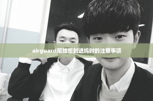 airguard尾轴密封进坞时的注意事项