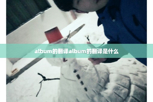 album的翻译album的翻译是什么