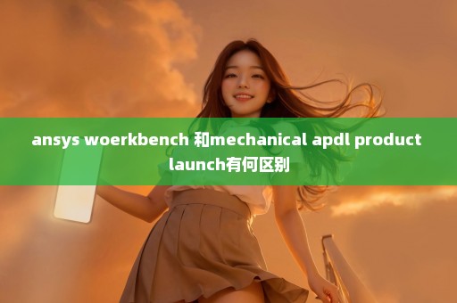 ansys woerkbench 和mechanical apdl product launch有何区别