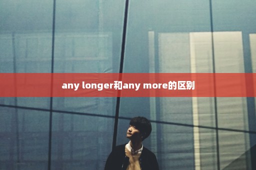 any longer和any more的区别