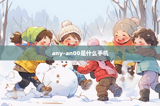 any-an00是什么手机