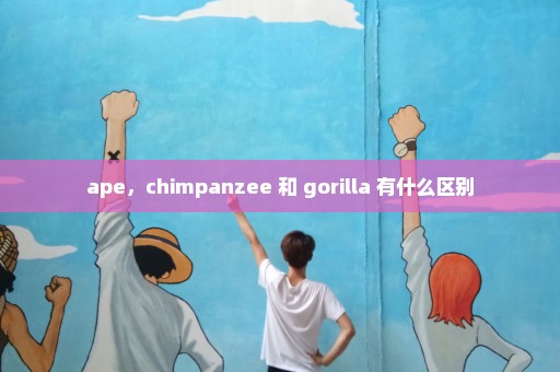 ape，chimpanzee 和 gorilla 有什么区别