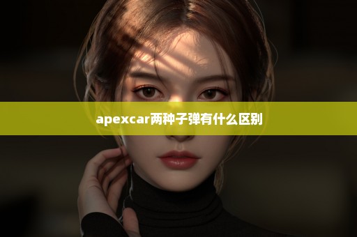 apexcar两种子弹有什么区别