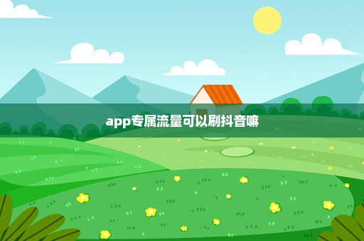 app专属流量可以刷抖音嘛