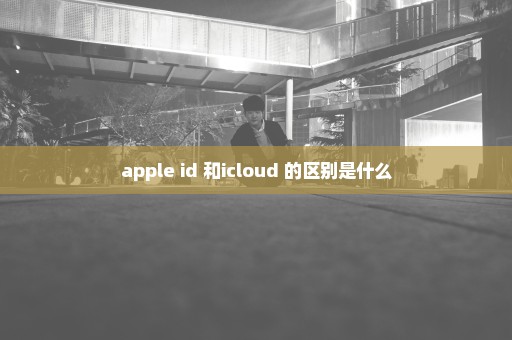 apple id 和icloud 的区别是什么