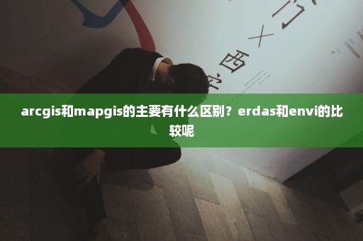 arcgis和mapgis的主要有什么区别？erdas和envi的比较呢