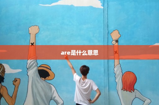 are是什么意思