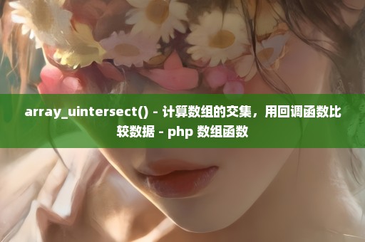 array_uintersect() - 计算数组的交集，用回调函数比较数据 - php 数组函数