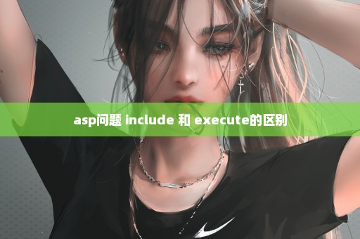 asp问题 include 和 execute的区别