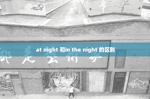 at night 和in the night 的区别