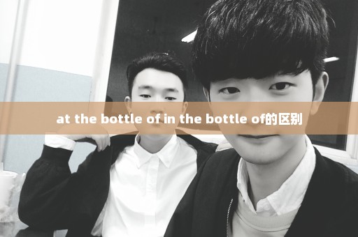 at the bottle of in the bottle of的区别