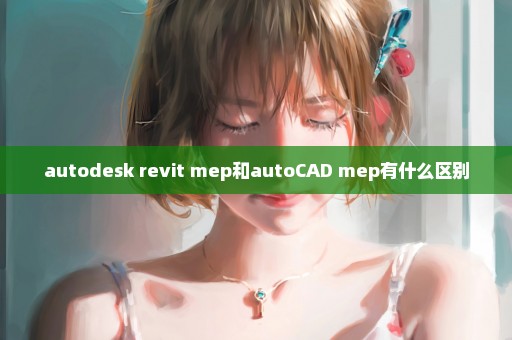 autodesk revit mep和autoCAD mep有什么区别