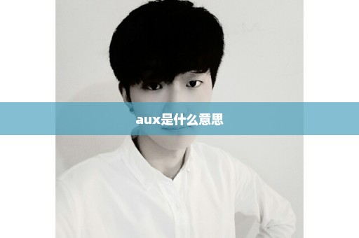 aux是什么意思