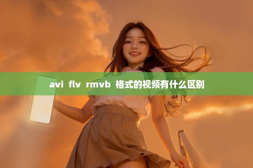 avi  flv  rmvb  格式的视频有什么区别