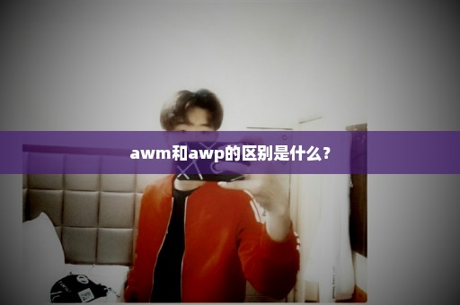 awm和awp的区别是什么？