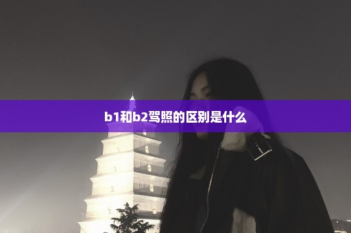 b1和b2驾照的区别是什么