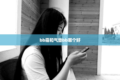 bb霜和气垫bb哪个好