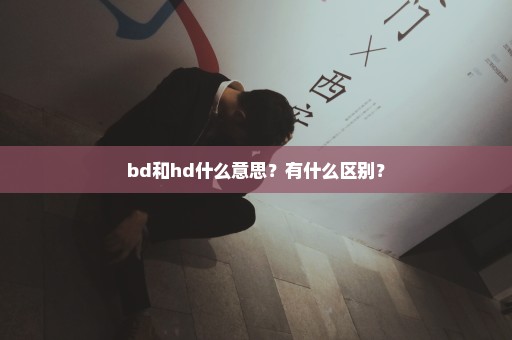 bd和hd什么意思？有什么区别？