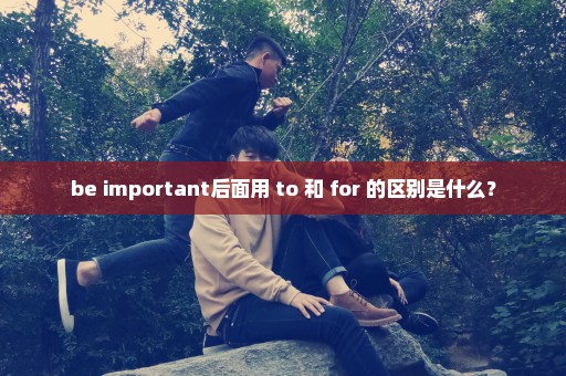 be important后面用 to 和 for 的区别是什么？