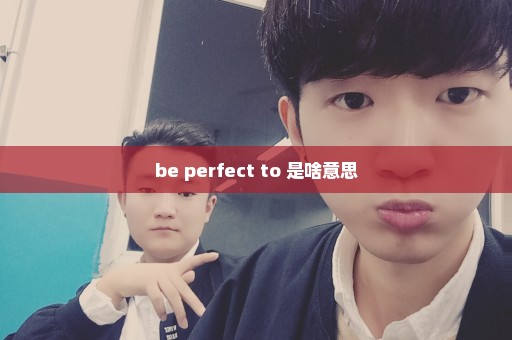 be perfect to 是啥意思