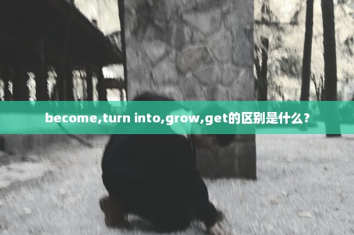 become,turn into,grow,get的区别是什么？