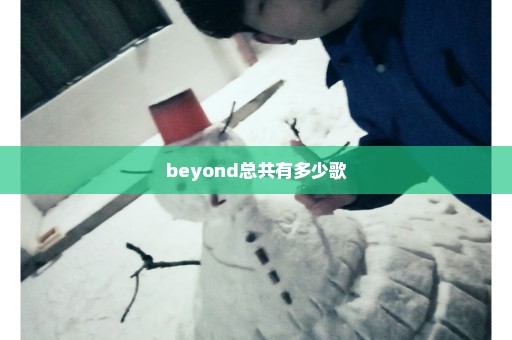 beyond总共有多少歌