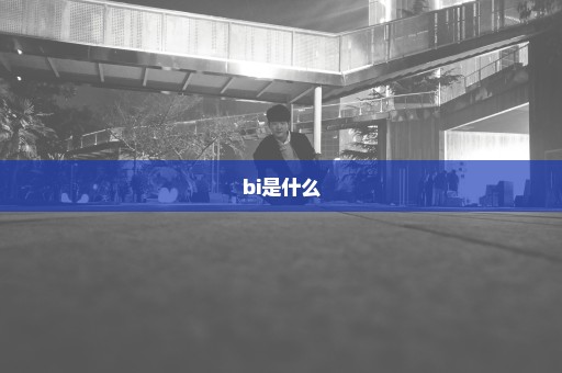 bi是什么