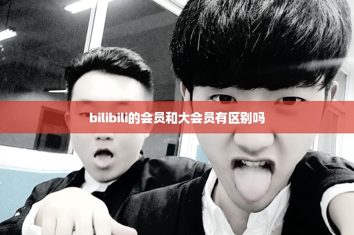 bilibili的会员和大会员有区别吗