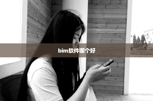 bim软件哪个好