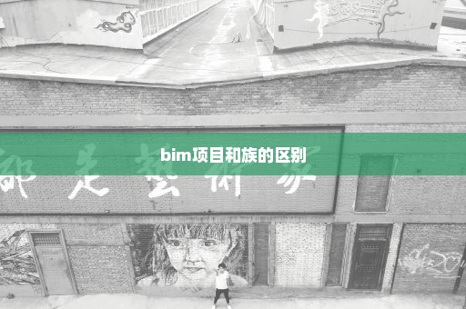 bim项目和族的区别