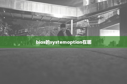 bios的systemoption在哪