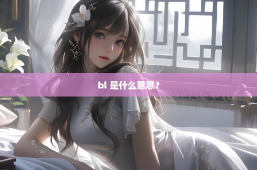 bl 是什么意思？