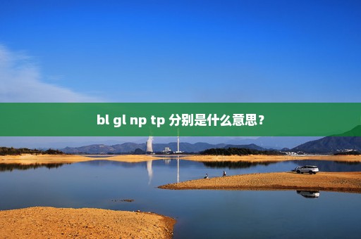 bl gl np tp 分别是什么意思？