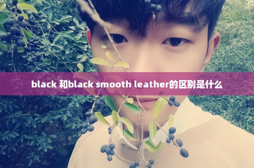 black 和black smooth leather的区别是什么