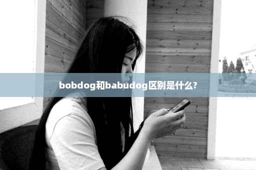 bobdog和babudog区别是什么?