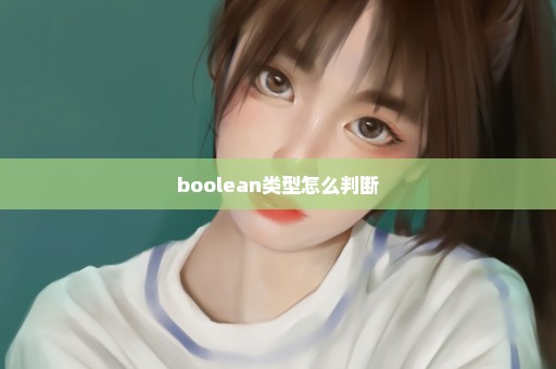 boolean类型怎么判断