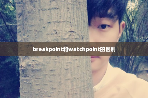 breakpoint和watchpoint的区别