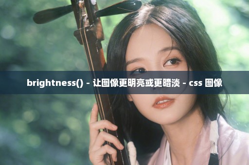 brightness() - 让图像更明亮或更暗淡 - css 图像