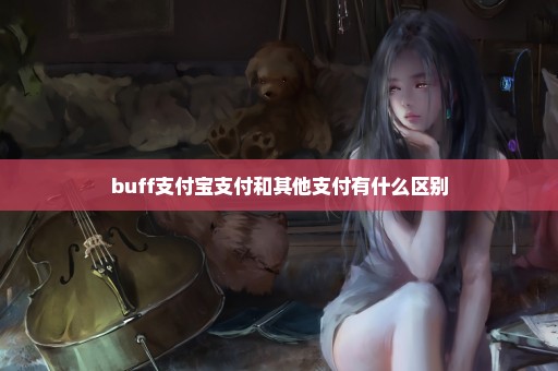 buff支付宝支付和其他支付有什么区别