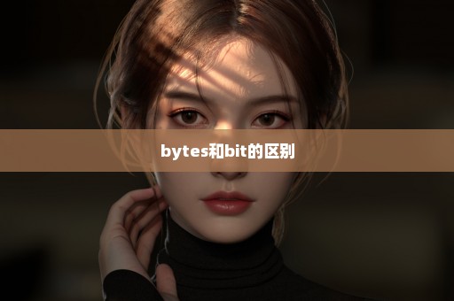 bytes和bit的区别