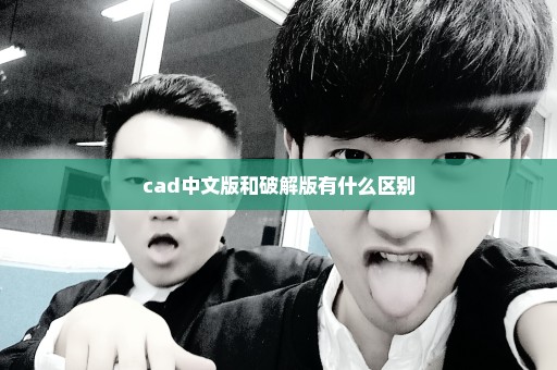 cad中文版和破解版有什么区别