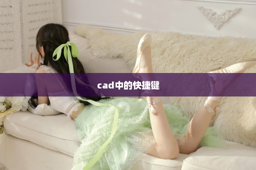 cad中的快捷键