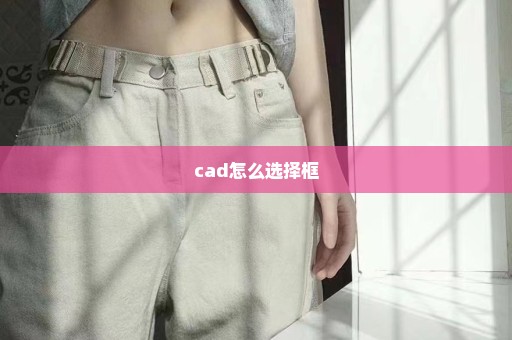 cad怎么选择框